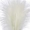 24" Pampas Bush by Ashland®